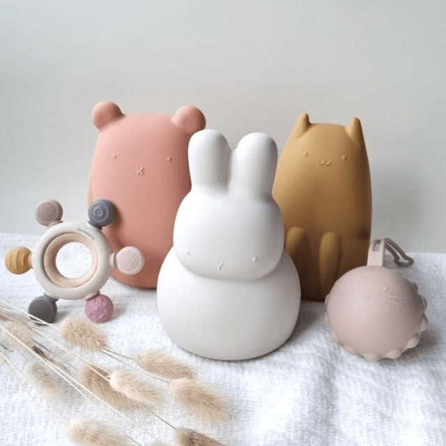 Tirelire souple en silicone - Bear Earth - RAMMELAARTJE 